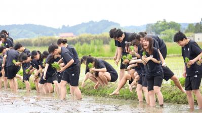 いざ、入田